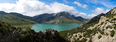 Maiorca