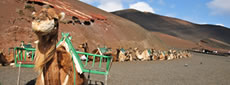 Lanzarote