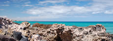 Fuerteventura