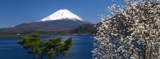 Jap�o