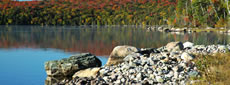 Canad�