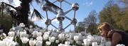 Viagens e F�rias em Bruxelas