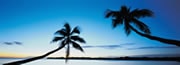 Jamaica 