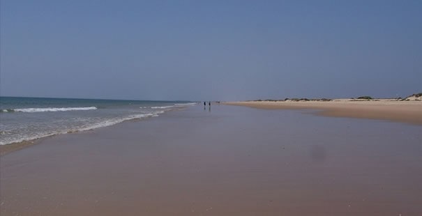 Altura