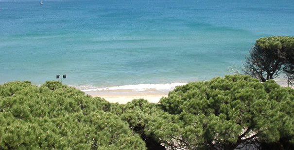 La Pineda