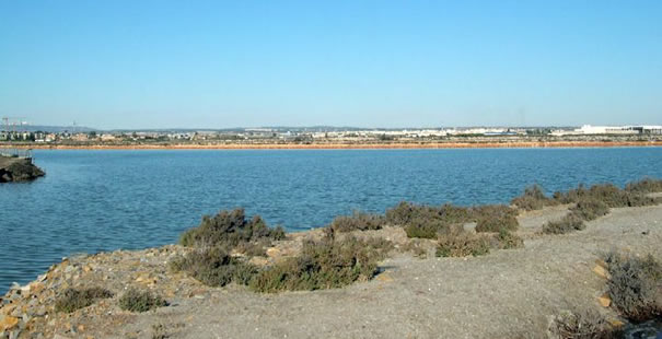 San Pedro Del Pinatar