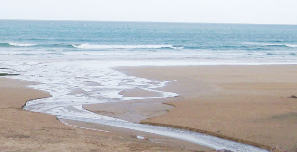 Candas