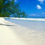 Hot�is Grande Bahama