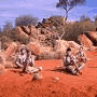 Hot�is Alice Springs