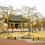 Hot�is Daegu