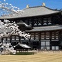 Hot�is Nara