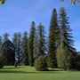 Hot�is Adelaide