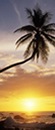 Costa Rica M�gica