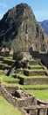 Per� Tradicional desde 12 d�as