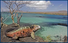 Cruzeiro por Ilhas Gal�pagos