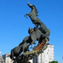 Vigo