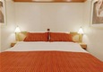Categoria IP - Premium IP