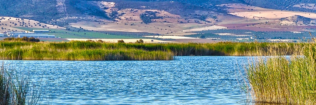 Daimiel
