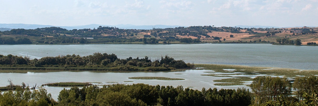 Chiusi Siena
