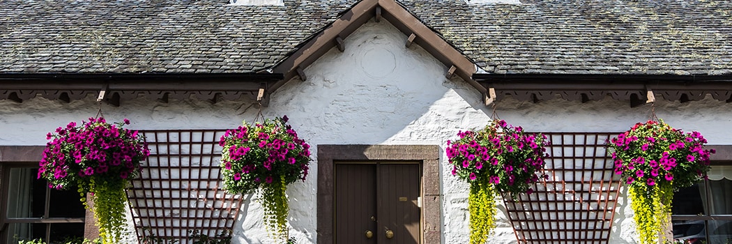 Luss