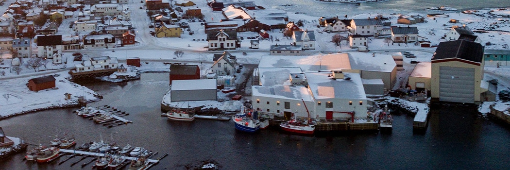 Andenes