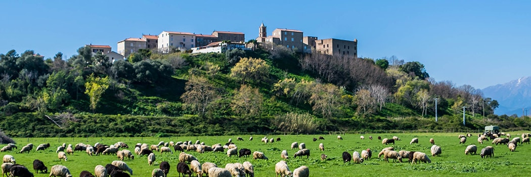 Aléria