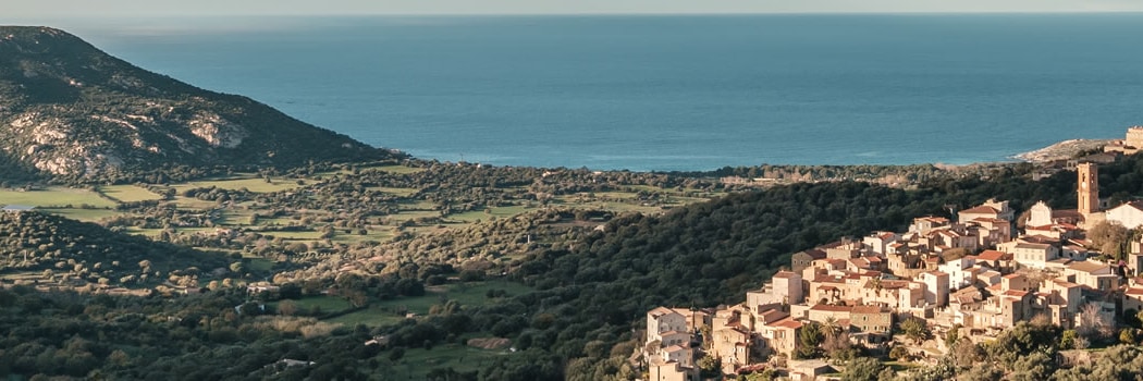 Aregno