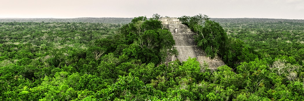 Reserva de la Biosfera Calakmul