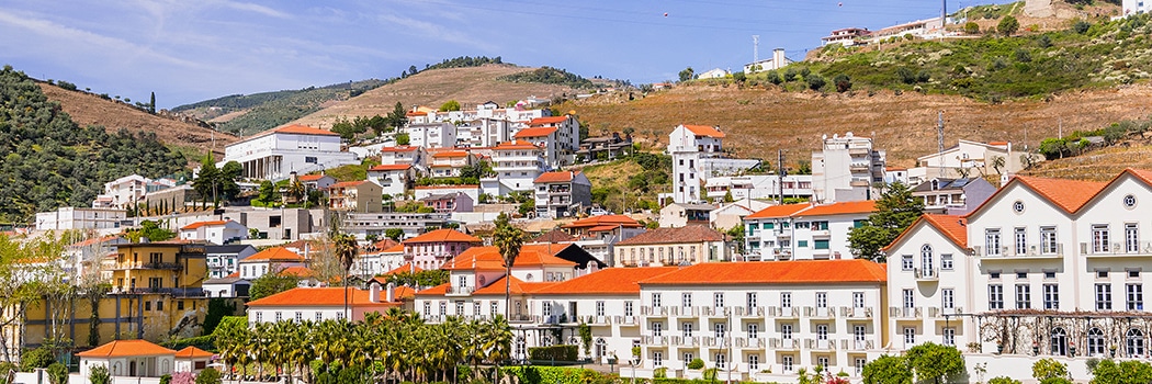 Pinhão
