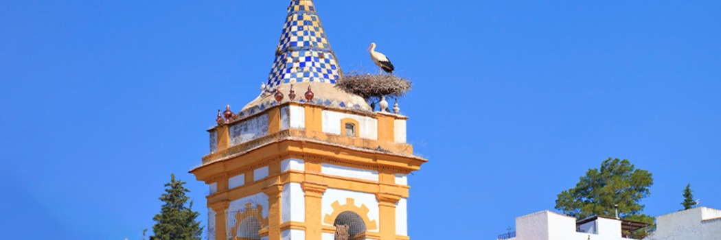 Prado del Rey
