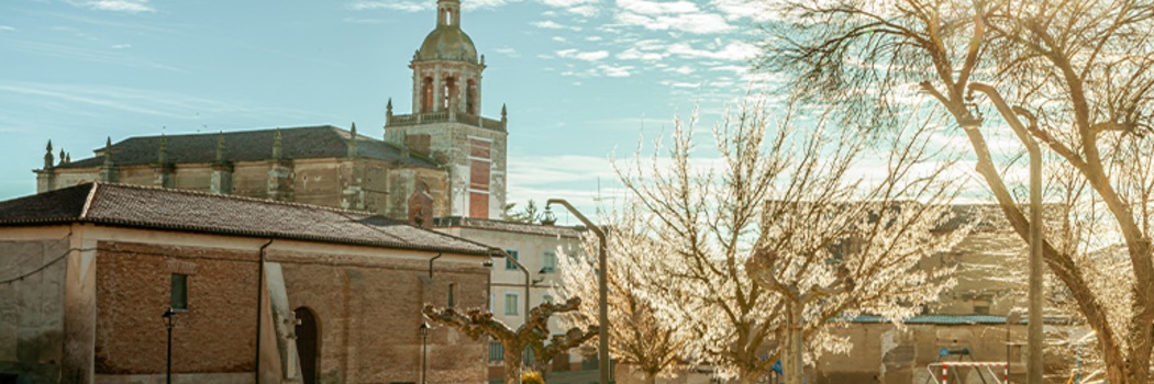 Carrión de los Condes