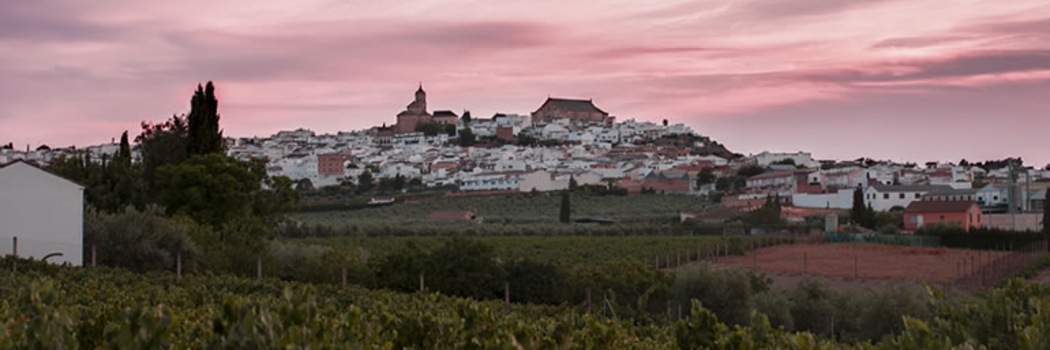 Montilla