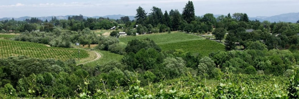 Sonoma