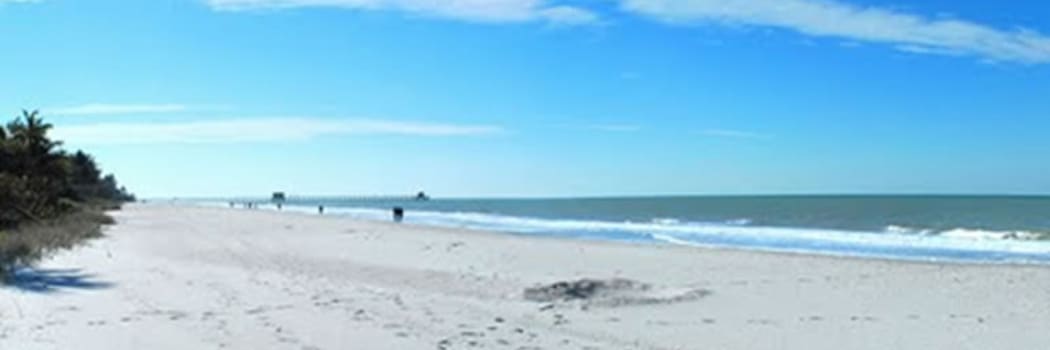 Naples - FL