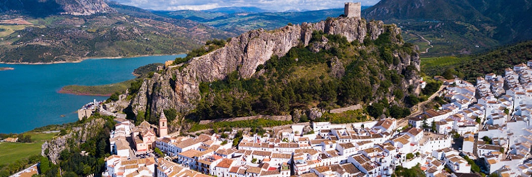 Zahara