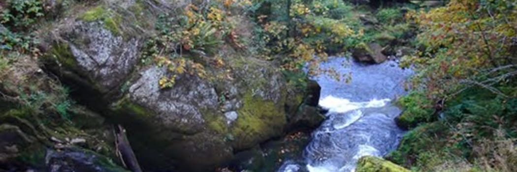 Triberg