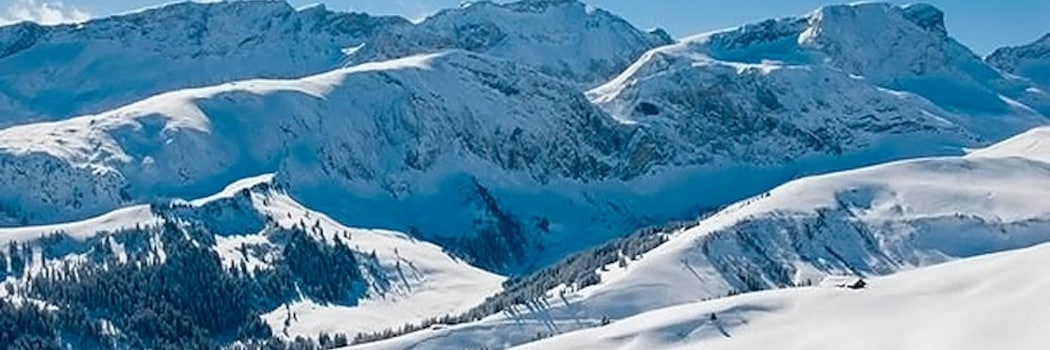 Saanen