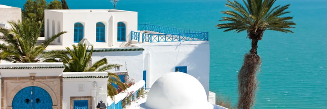 Sidi Bou Said