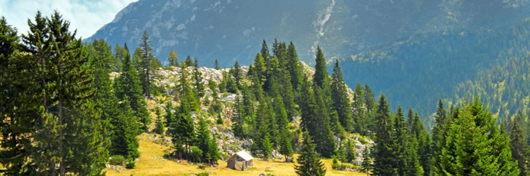 Mokra Gora