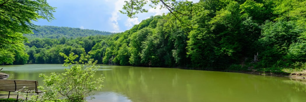 Dilijan
