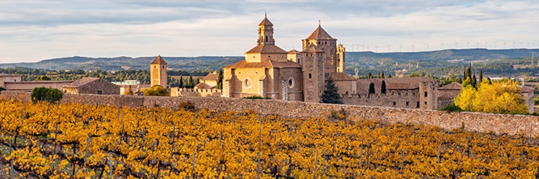 Vall del Monestir de Poblet
