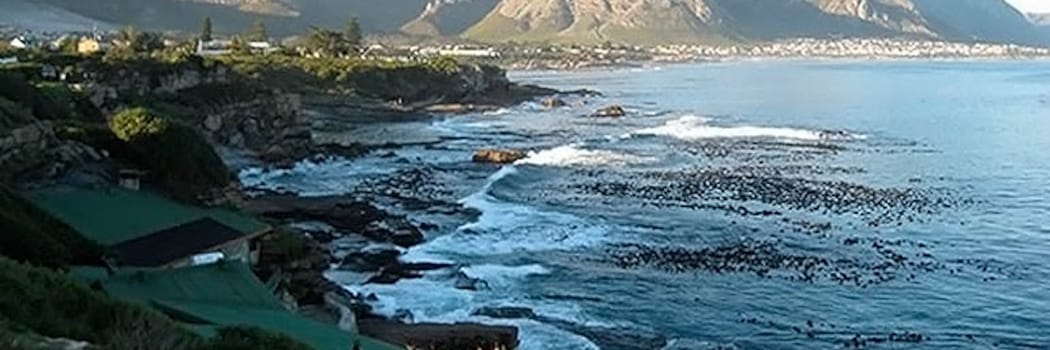 Hermanus