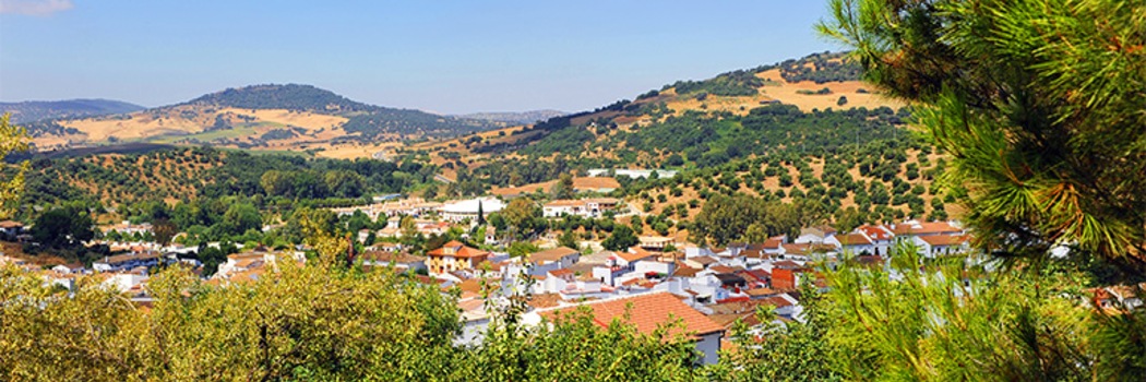 El Bosque