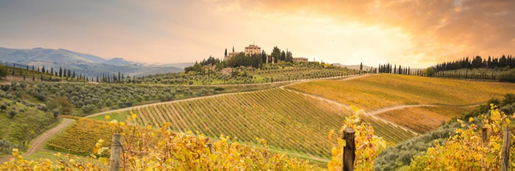 Gaiole In Chianti Siena
