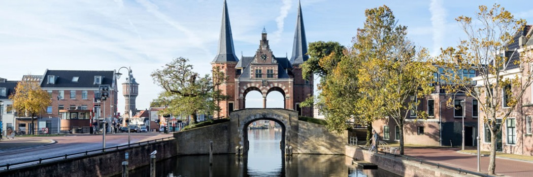 Sneek