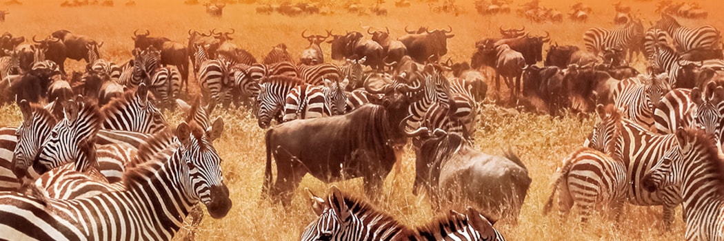 Masai Mara Game Reserve