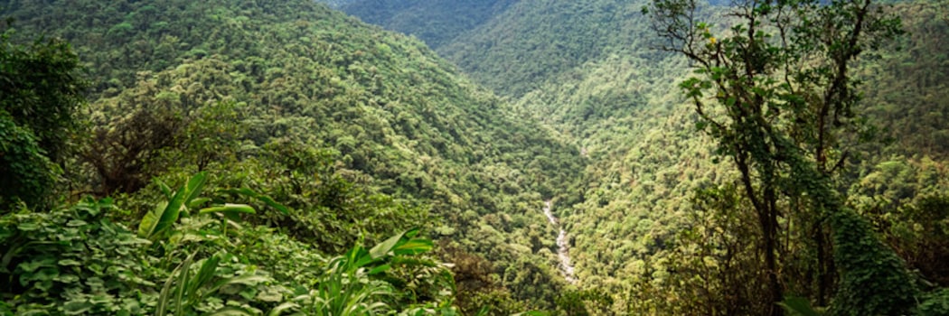 Guapiles