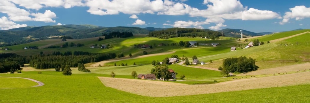 Breitnau