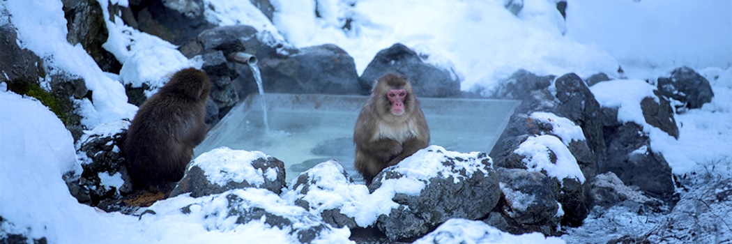 Kusatsu