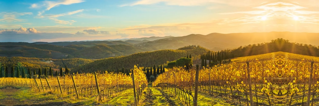 Radda in Chianti